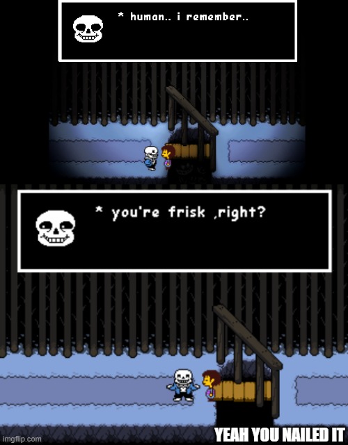 YEAH YOU NAILED IT | image tagged in human i remember your x,yes sir,undertale | made w/ Imgflip meme maker