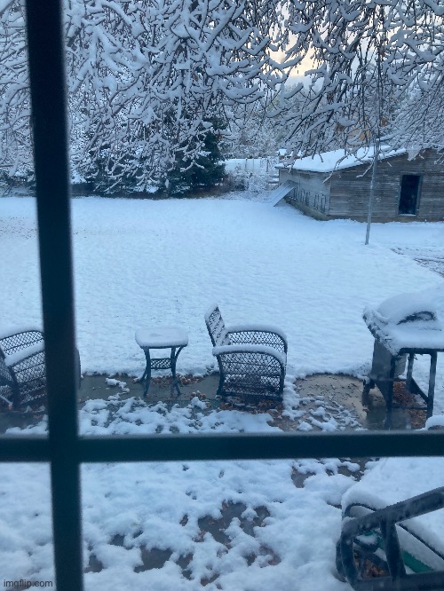 This is bullshit | made w/ Imgflip meme maker