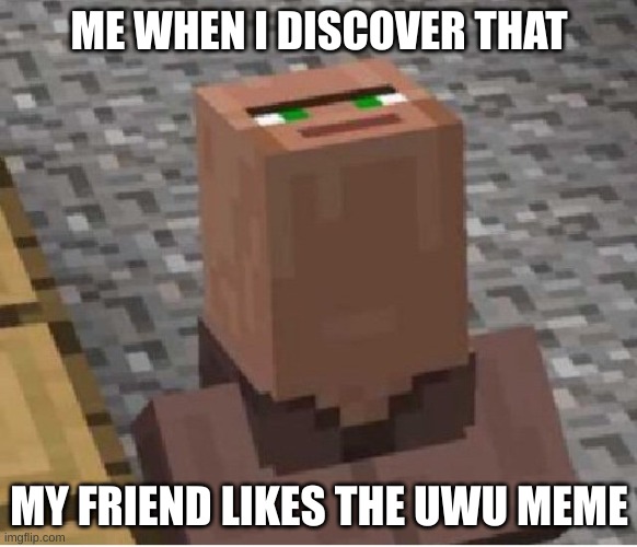 BRUH WHAT | ME WHEN I DISCOVER THAT; MY FRIEND LIKES THE UWU MEME | image tagged in minecraft villager looking up,uwu | made w/ Imgflip meme maker