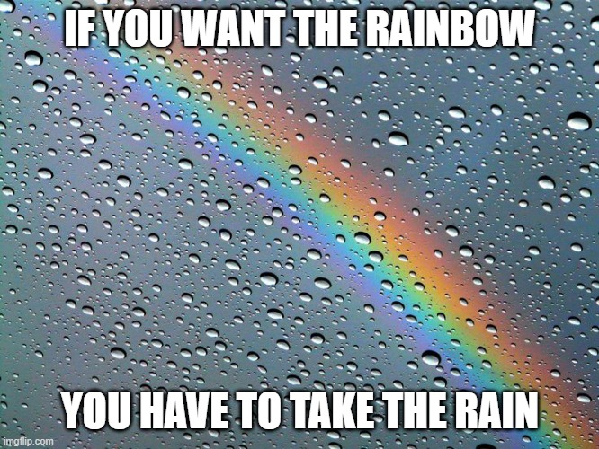 The Real Gold | IF YOU WANT THE RAINBOW; YOU HAVE TO TAKE THE RAIN | image tagged in rainbows | made w/ Imgflip meme maker