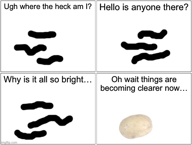 The Fallen City (idk what part this is) POTATO RETURNS (Anon note: part 4) | Ugh where the heck am I? Hello is anyone there? Why is it all so bright…; Oh wait things are becoming clearer now… | image tagged in memes,blank comic panel 2x2 | made w/ Imgflip meme maker