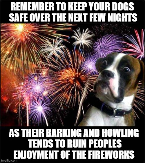 Remember Remember The Fifth Of November ! | REMEMBER TO KEEP YOUR DOGS 
SAFE OVER THE NEXT FEW NIGHTS; AS THEIR BARKING AND HOWLING
 TENDS TO RUIN PEOPLES
ENJOYMENT OF THE FIREWORKS | image tagged in dogs,bonfire night,fireworks,take care | made w/ Imgflip meme maker