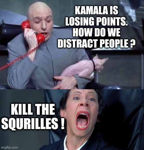 Pay no attention to that man behind the curtain | KAMALA IS LOSING POINTS.
HOW DO WE DISTRACT PEOPLE ? KILL THE SQURILLES ! | image tagged in dr evil and frau,leftists,democrats,college liberal | made w/ Imgflip meme maker