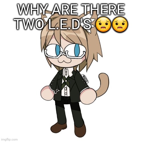 Byakannyuuu | WHY ARE THERE TWO L.E.D'S 😟😟 | image tagged in byakannyuuu | made w/ Imgflip meme maker