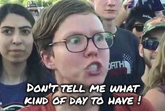 Triggered Liberal | Don't tell me what kind of day to have ! | image tagged in triggered liberal | made w/ Imgflip meme maker