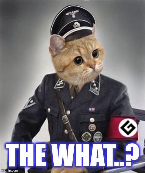 Grammar Nazi Cat | THE WHAT..? | image tagged in grammar nazi cat | made w/ Imgflip meme maker