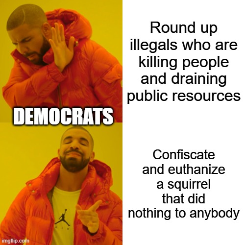 Justice for P'nut | Round up illegals who are killing people and draining public resources; DEMOCRATS; Confiscate and euthanize a squirrel that did nothing to anybody | image tagged in memes,drake hotline bling | made w/ Imgflip meme maker