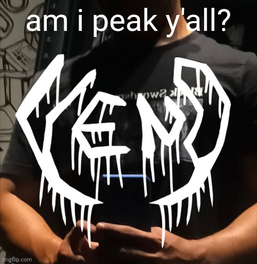 veno | am i peak y'all? | image tagged in veno | made w/ Imgflip meme maker