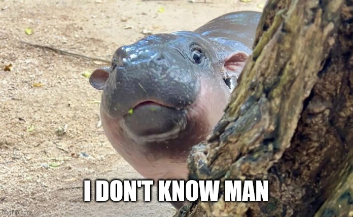 Moo Deng Curious | I DON'T KNOW MAN | image tagged in moo deng curious | made w/ Imgflip meme maker