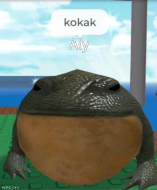 kokak | image tagged in kokak | made w/ Imgflip meme maker