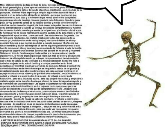 Skeleton Wall of Text | image tagged in skeleton wall of text | made w/ Imgflip meme maker