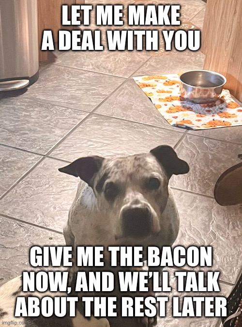 Did you say bacon?! | LET ME MAKE A DEAL WITH YOU; GIVE ME THE BACON NOW, AND WE’LL TALK ABOUT THE REST LATER | image tagged in did you say bacon | made w/ Imgflip meme maker