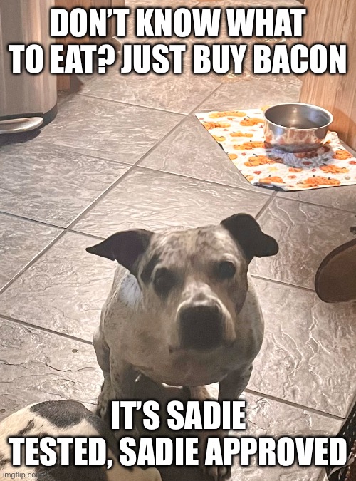 Did you say bacon? | DON’T KNOW WHAT TO EAT? JUST BUY BACON; IT’S SADIE TESTED, SADIE APPROVED | image tagged in did you say bacon | made w/ Imgflip meme maker