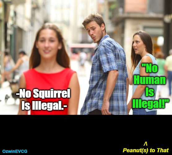 /\ Peanut(s) to That | "No 

Human 

Is 

Illegal!"; -No Squirrel 

Is Illegal.-; /\

Peanut(s) to That; OzwinEVCG | image tagged in memes,distracted boyfriend,peanut the squirrel,slogans,immigration invasion,life in 2020s | made w/ Imgflip meme maker