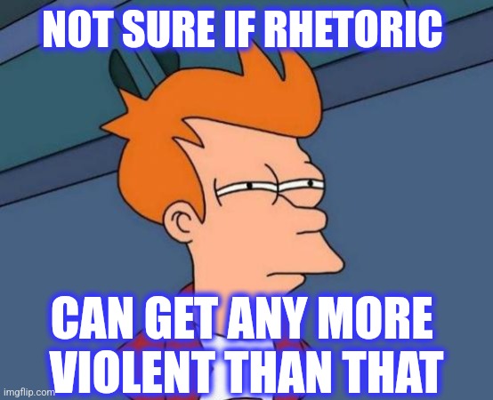 NOT SURE IF RHETORIC CAN GET ANY MORE 
VIOLENT THAN THAT | image tagged in memes,futurama fry | made w/ Imgflip meme maker