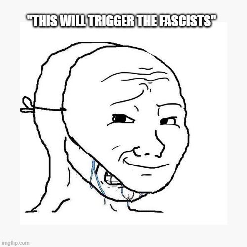 "Take that, fascists!" (comments disabled) | "THIS WILL TRIGGER THE FASCISTS" | image tagged in soyjak using smirk mask to hide cope | made w/ Imgflip meme maker