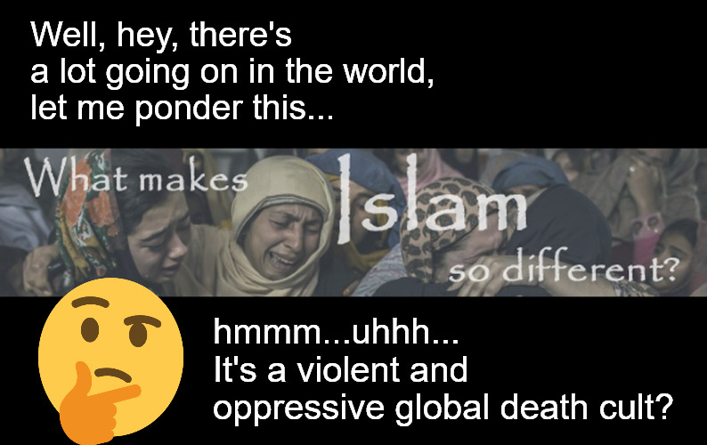 People ask People wonder | Well, hey, there's a lot going on in the world,
let me ponder this... hmmm...uhhh...
It's a violent and oppressive global death cult? | image tagged in memes,politics,islam,uk | made w/ Imgflip meme maker