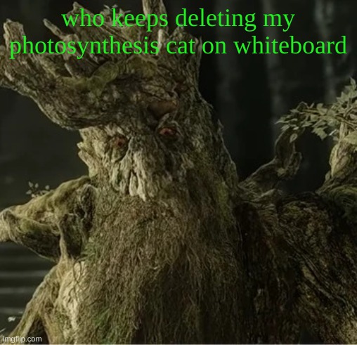 Hecate | who keeps deleting my photosynthesis cat on whiteboard | image tagged in hecate | made w/ Imgflip meme maker