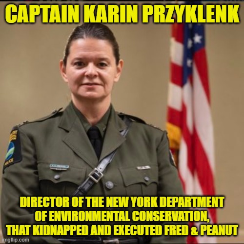 The Karen in charge | CAPTAIN KARIN PRZYKLENK; DIRECTOR OF THE NEW YORK DEPARTMENT OF ENVIRONMENTAL CONSERVATION, THAT KIDNAPPED AND EXECUTED FRED & PEANUT | image tagged in karen,environment,fred,squirrel,peanut,maga | made w/ Imgflip meme maker