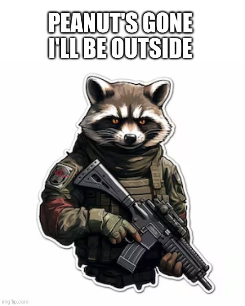 peanuts gone I'll be outside | PEANUT'S GONE
I'LL BE OUTSIDE | image tagged in black hawk down,peanut the squirrel,fred the racoon | made w/ Imgflip meme maker