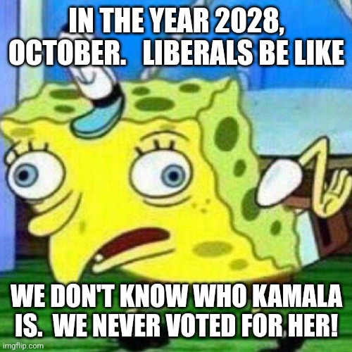 triggerpaul | IN THE YEAR 2028, OCTOBER.   LIBERALS BE LIKE WE DON'T KNOW WHO KAMALA IS.  WE NEVER VOTED FOR HER! | image tagged in triggerpaul | made w/ Imgflip meme maker