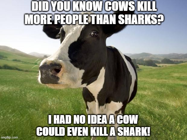 Cows Kill | DID YOU KNOW COWS KILL MORE PEOPLE THAN SHARKS? I HAD NO IDEA A COW COULD EVEN KILL A SHARK! | image tagged in cow | made w/ Imgflip meme maker