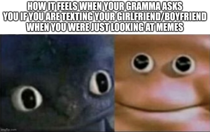 Blank stare dragon | HOW IT FEELS WHEN YOUR GRAMMA ASKS YOU IF YOU ARE TEXTING YOUR GIRLFRIEND/BOYFRIEND WHEN YOU WERE JUST LOOKING AT MEMES | image tagged in blank stare dragon | made w/ Imgflip meme maker