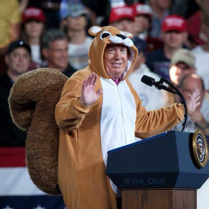 Trump in squirrel costume Blank Meme Template