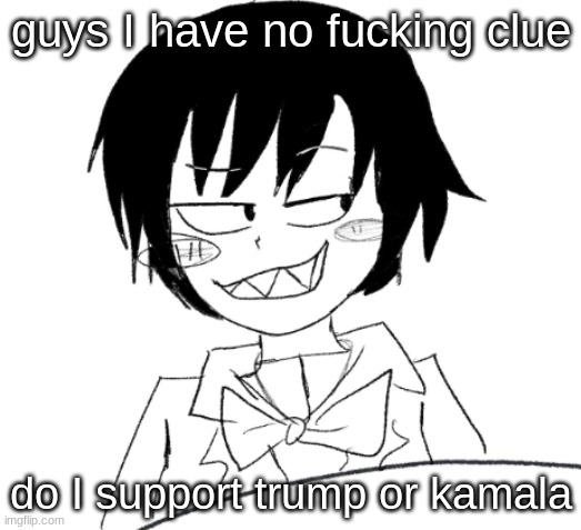 i'm not even american but I wanna know | guys I have no fucking clue; do I support trump or kamala | image tagged in icy smirk | made w/ Imgflip meme maker