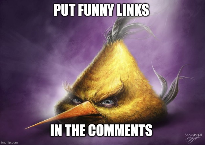 . | PUT FUNNY LINKS; IN THE COMMENTS | image tagged in realistic yellow angry bird | made w/ Imgflip meme maker