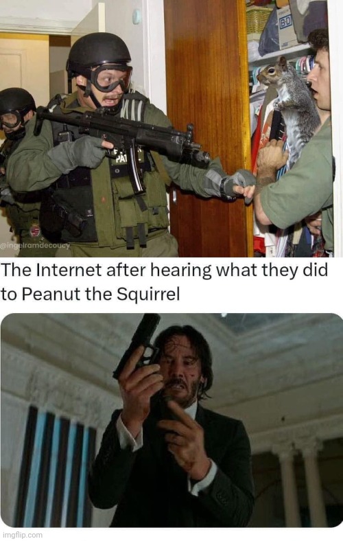 John Wick avenges peanut the squirrel | image tagged in peanut the squirrel raided,john wick | made w/ Imgflip meme maker