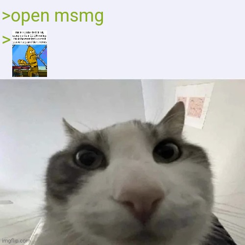 green text cat | >open msmg; > | image tagged in green text cat | made w/ Imgflip meme maker