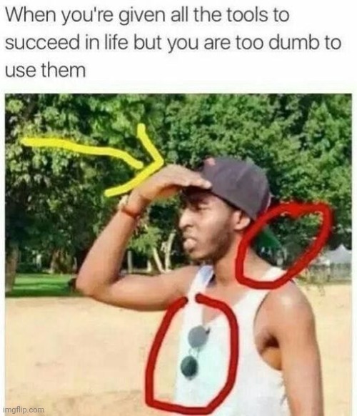 The tools to succeed unsuccessful moment | image tagged in tool,tools,reposts,repost,memes,succeed | made w/ Imgflip meme maker