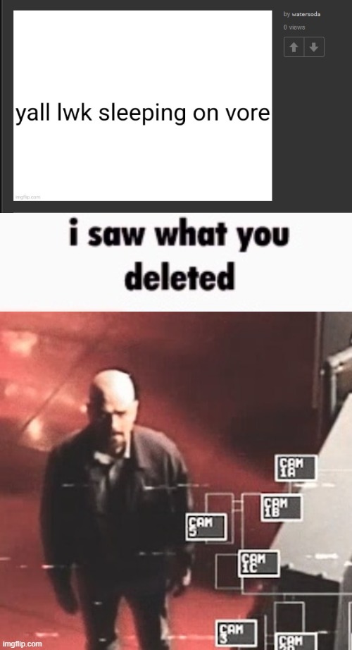 i saw what you deleted | image tagged in i saw what you deleted | made w/ Imgflip meme maker