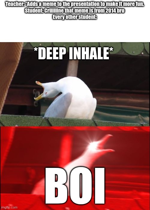 screaming seagull | Teacher: *Adds a meme to the presentation to make it more fun.
Student: Criiiiiine that meme is from 2014 bro
Every other student:; *DEEP INHALE*; BOI | image tagged in screaming seagull | made w/ Imgflip meme maker