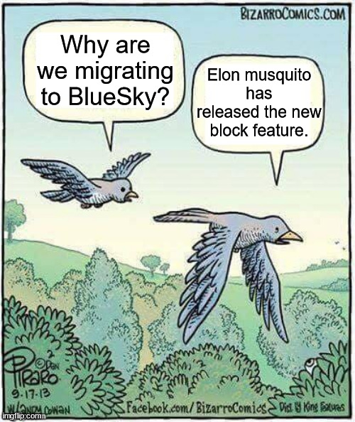 Remember to set your account to private on twitter, because blocked users can now see your tweets. | Why are we migrating to BlueSky? Elon musquito has released the new block feature. | image tagged in migrating birds,twitter,bluesky,blue sky | made w/ Imgflip meme maker