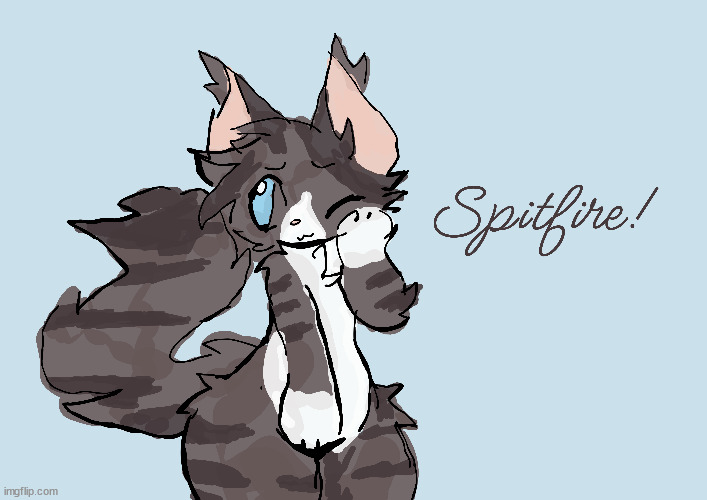 Made another of Spitfire! | image tagged in meow | made w/ Imgflip meme maker