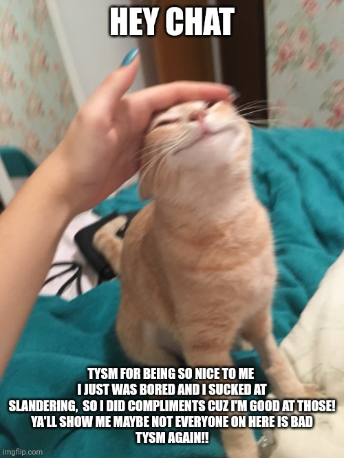 Yes, I'm yapping | HEY CHAT; TYSM FOR BEING SO NICE TO ME 
I JUST WAS BORED AND I SUCKED AT SLANDERING,  SO I DID COMPLIMENTS CUZ I'M GOOD AT THOSE!
YA'LL SHOW ME MAYBE NOT EVERYONE ON HERE IS BAD
TYSM AGAIN!! | image tagged in cat pat | made w/ Imgflip meme maker
