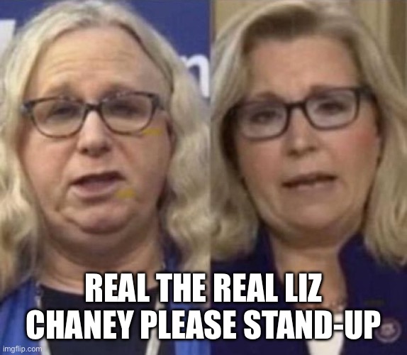 Liz | REAL THE REAL LIZ CHANEY PLEASE STAND-UP | image tagged in liz and the biz,democrats,funny memes,memes | made w/ Imgflip meme maker