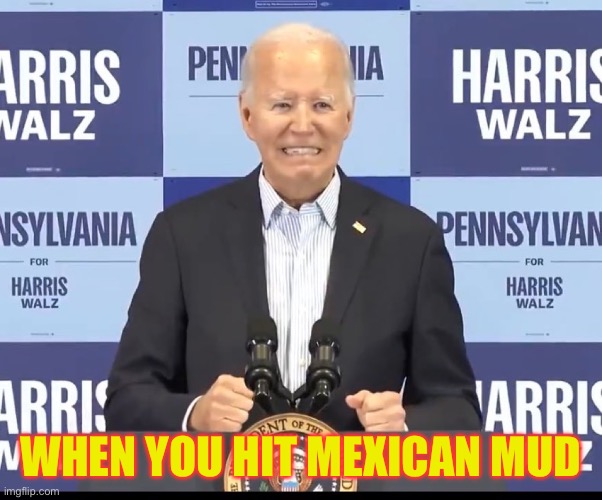 Article 25 | WHEN YOU HIT MEXICAN MUD | image tagged in joe,memes,funny memes,gift | made w/ Imgflip meme maker