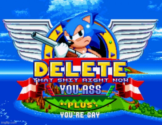 Sonic holding a shotgun to tell you to delete | image tagged in sonic holding a shotgun to tell you to delete | made w/ Imgflip meme maker