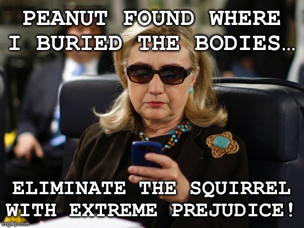 This would explain it… | PEANUT FOUND WHERE I BURIED THE BODIES… ELIMINATE THE SQUIRREL WITH EXTREME PREJUDICE! | image tagged in hilary text | made w/ Imgflip meme maker