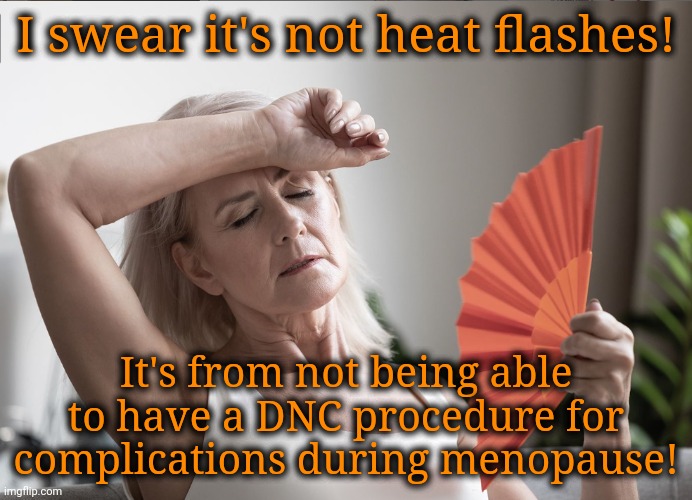 Bans on Tools Used During Abortions Restrict D&C Procedures for Menopausal Women | I swear it's not heat flashes! It's from not being able to have a DNC procedure for complications during menopause! | image tagged in dnc,msnbc,womens rights,healthcare,abortion | made w/ Imgflip meme maker