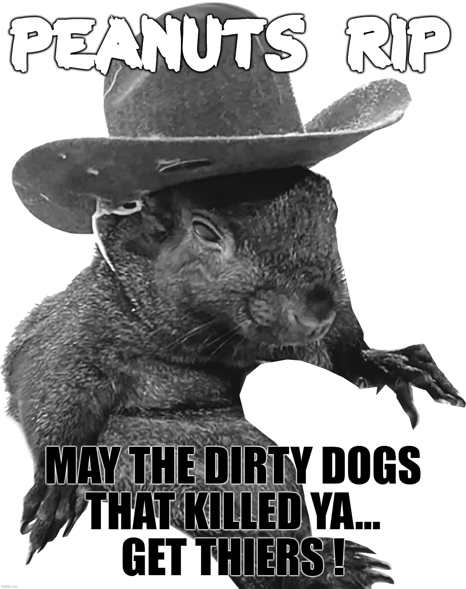 PEANUTS THE SQUIRREL - RIP | PEANUTS  RIP; MAY THE DIRTY DOGS
THAT KILLED YA...
GET THIERS ! | image tagged in squirrel,peanuts,rip,deep state,execution,corruptocrats | made w/ Imgflip meme maker