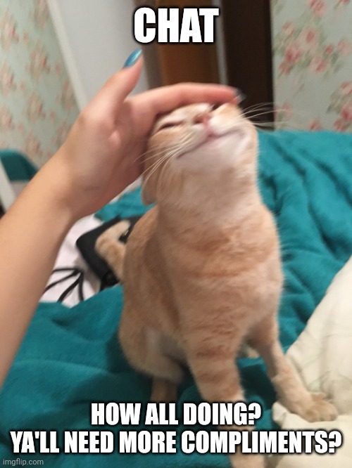 :3 | CHAT; HOW ALL DOING?
YA'LL NEED MORE COMPLIMENTS? | image tagged in cat pat | made w/ Imgflip meme maker