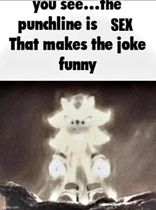 Shadow explains the joke | SEX | image tagged in shadow explains the joke | made w/ Imgflip meme maker