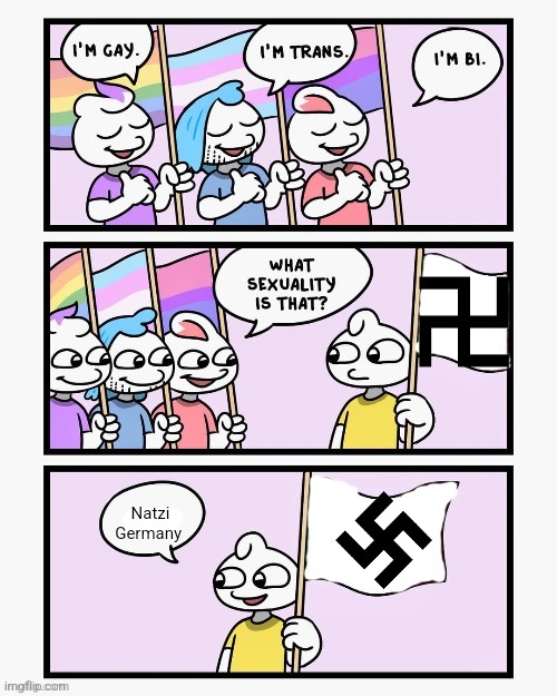 What Sexuality Is That? | Natzi Germany | image tagged in what sexuality is that | made w/ Imgflip meme maker
