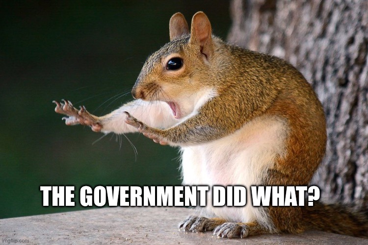 Squirrel no | THE GOVERNMENT DID WHAT? | image tagged in squirrel no,politics,government | made w/ Imgflip meme maker