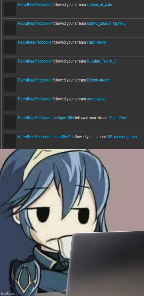 someone thought they were real clever with this | image tagged in lucina looking at laptop | made w/ Imgflip meme maker