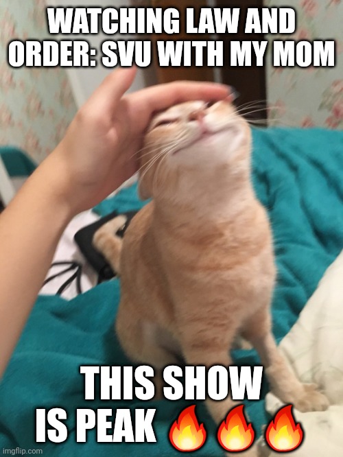 :3 | WATCHING LAW AND ORDER: SVU WITH MY MOM; THIS SHOW IS PEAK 🔥🔥🔥 | image tagged in cat pat | made w/ Imgflip meme maker